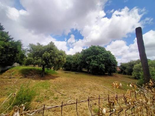 Acker-/Waldstück zum Kauf 189.000 € Castellvell del Camp 43392