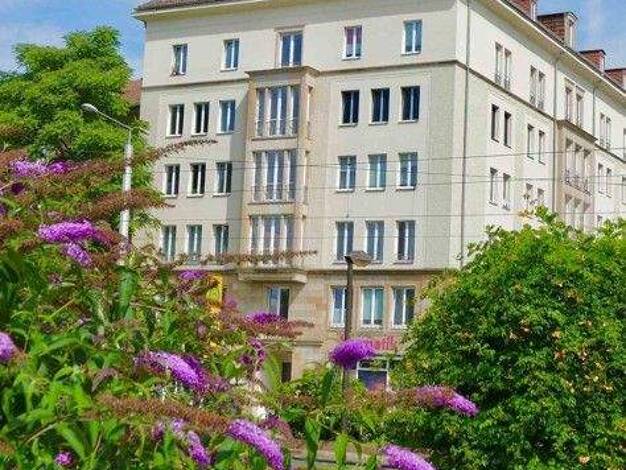 Wohnung zur Miete 387 € 1 Zimmer 33,7 m² 1. Geschoss frei ab 07.02.2026 Blochmannstr. 1 Pirnaische Vorstadt Dresden 01069