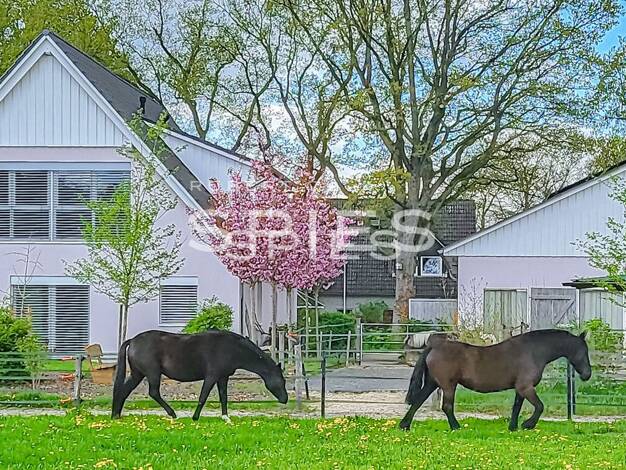 Mehrfamilienhaus zum Kauf 1.040.000 € 7 Zimmer 250 m² 15.580 m² Grundstück Seebergen Lilienthal 28865