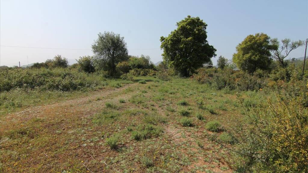 Land-/Forstwirtschaft zum Kauf 220.000 € 6.500 m² Grundstück Korfu