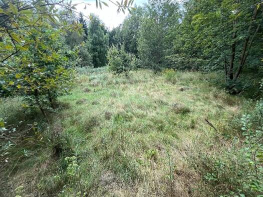 Grundstück zum Kauf 60.000 € 2.327 m² Grundstück Pfaffengrün Treuen 08233