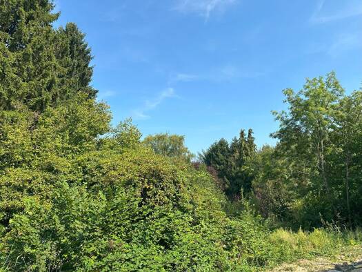 Wohnung zum Kauf 330.000 € 2,5 Zimmer 62,9 m² EG Weitmar Bochum 44795
