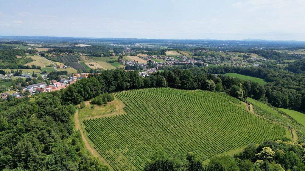 Grundstück zum Kauf 1.400.000 € 11.733 m² Grundstück Eckberg 8462