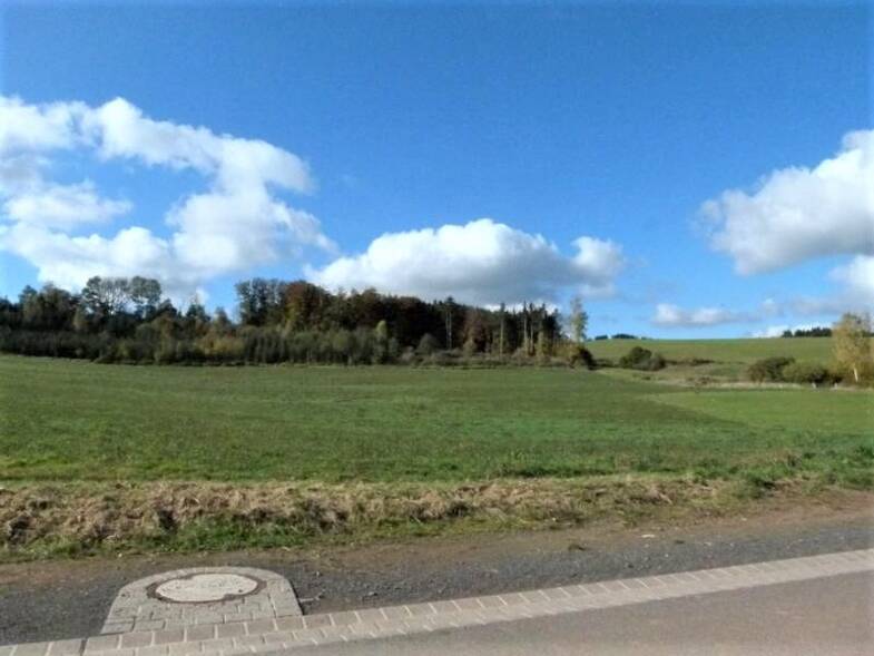 Grundstück zum Kauf 205.515 € 4.567 m² Grundstück Steffeln Steffeln 54597