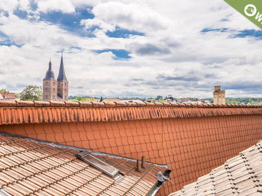 Mehrfamilienhaus zum Kauf 60 Zimmer 1.350 m² Burgstraße 6 Altenburg 04600