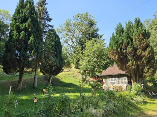 Land-/Forstwirtschaft zum Kauf 900.000 € 68.860 m² Grundstück Schwanden Böhen 87736