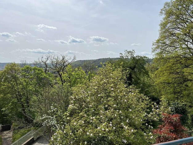 Wohnung zur Miete Wohnen auf Zeit 1.800 € 4 Zimmer 69 m² frei ab 01.07.2025 Grassenberg Marburg 35037