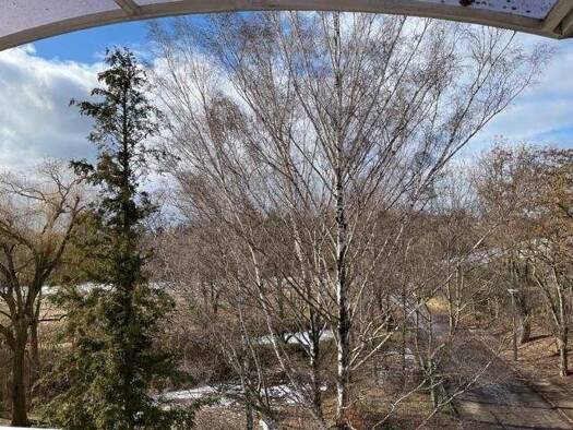 Wohnung zur Miete 300 € 2 Zimmer 40,8 m² 3. Geschoss Röderweg 42 Brühlervorstadt Erfurt 99092