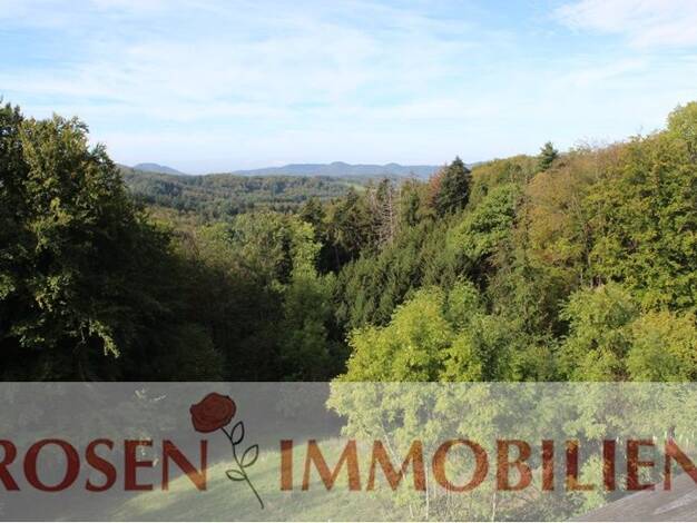 Wohnung zur Miete 380 € 1,5 Zimmer 40 m² 1. Geschoss Wald-Michelbach Wald-Michelbach 69483