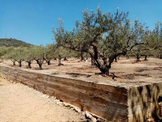 Grundstück zum Kauf 59.000 € Camino De L'Aiguassera, 100 la Ràpita 43540