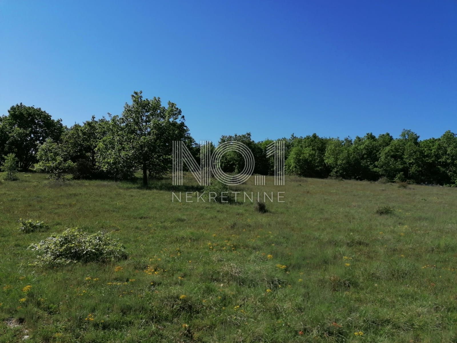 Land-/Forstwirtschaft zum Kauf 79.900 € Porec center