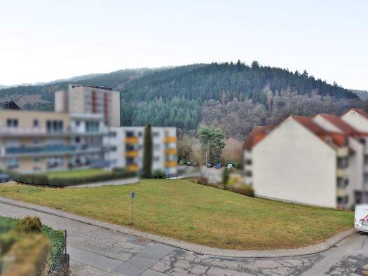 Grundstück zum Kauf 160.000 € 934 m² Grundstück Eberbach 69412