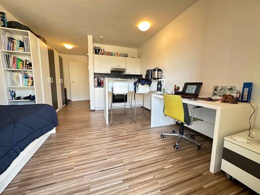Studio zur Miete 580 € 1 Zimmer 24 m² 1. Geschoss frei ab 01.07.2026 Kleve 47533