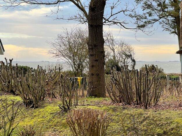 Terrassenwohnung zum Kauf 740.000 € 3 Zimmer 79 m² EG Wyk auf Föhr 25938