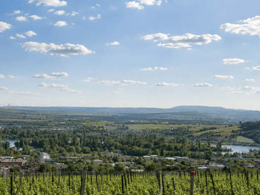 Grundstück zum Kauf 828.000 € 600 m² Grundstück Rüdesheim am Rhein Rüdesheim am Rhein 65385