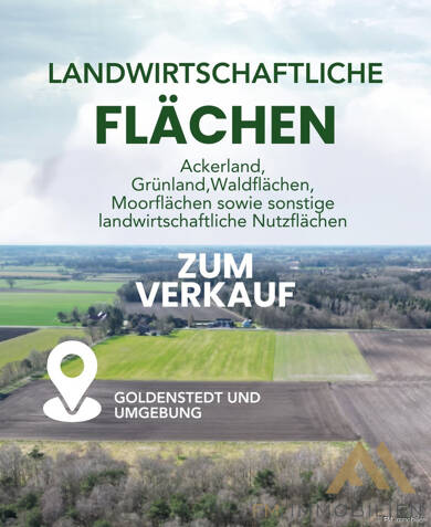 Land-/Forstwirtschaft zum Kauf 338.319 m² Grundstück Goldenstedt Goldenstedt 49424
