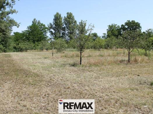 Grundstück zum Kauf 199.000 € 5.023 m² Grundstück Sierndorf 2011