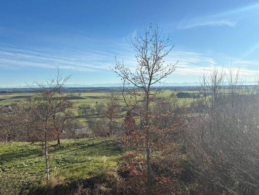 Einfamilienhaus zur Miete 1.850 € 5 Zimmer 135 m² 665 m² Grundstück frei ab sofort Schwabegg 86830