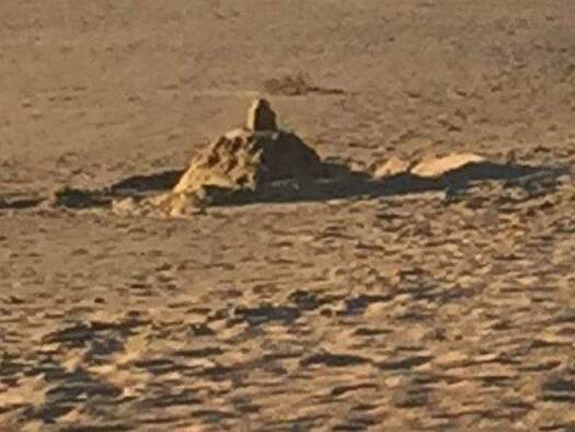 Grundstück zum Kauf 89.000 € 990 m² Grundstück Levern Stemwede 32351