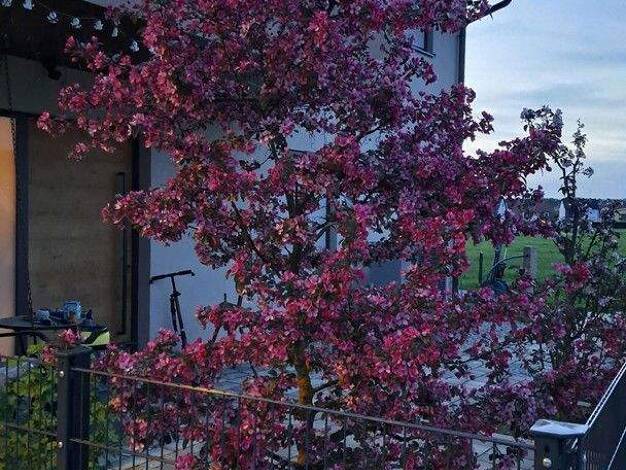 Einfamilienhaus zum Kauf provisionsfrei 1.100.000 € 6 Zimmer 178 m² 680 m² Grundstück Langensendelbach 91094