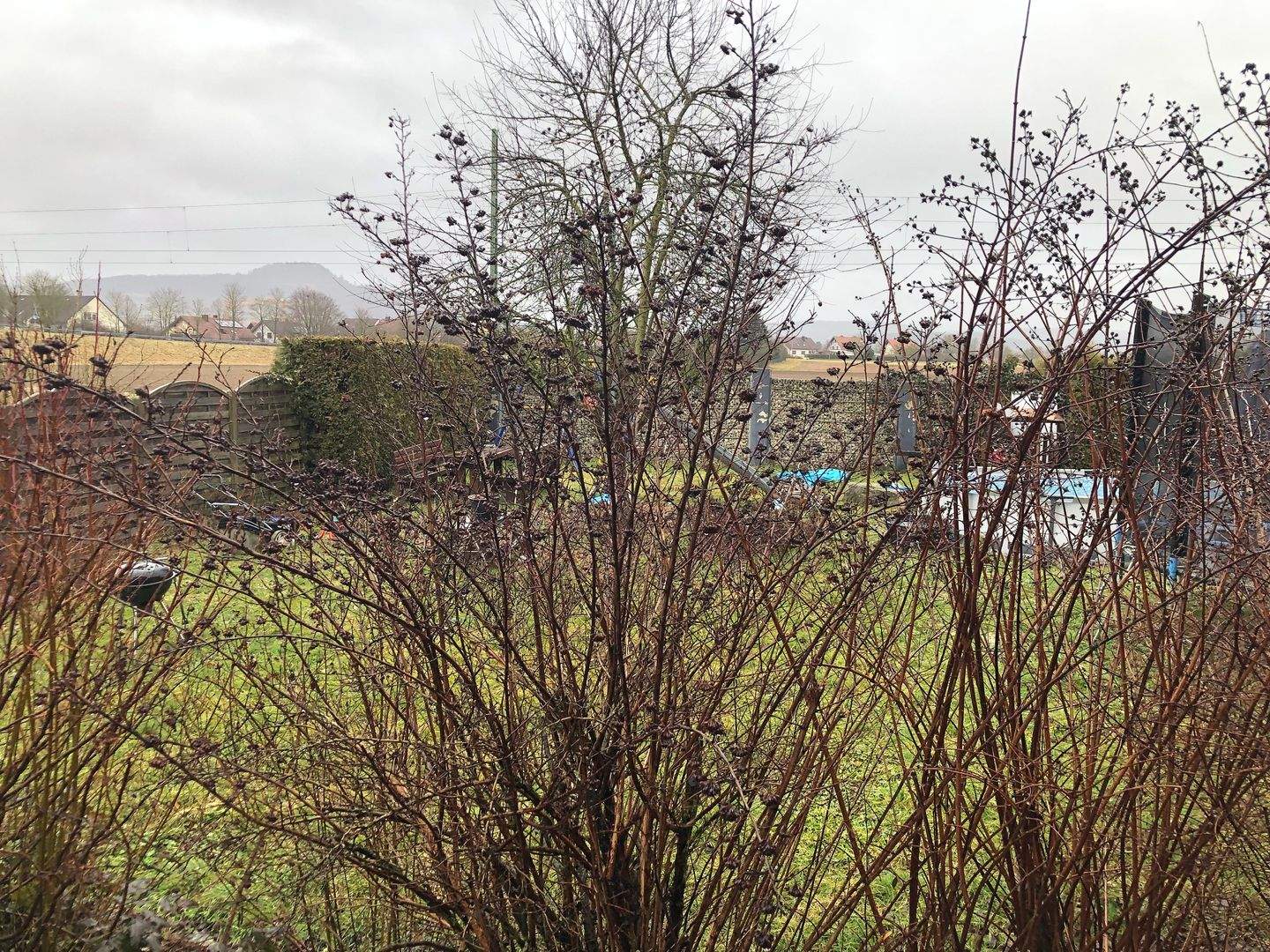 Immobilie in Bad Staffelstein - Bad Staffelstein, Mehrfamilienhaus mit guter Rendite - Bild 3