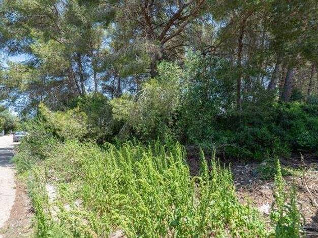 Grundstück zum Kauf 185.000 € 1.416 m² Grundstück Javea 03730