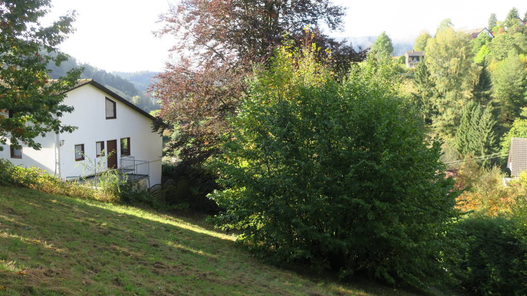 Grundstück zum Kauf 49.000 € 797 m² Grundstück Alpirsbach 72275