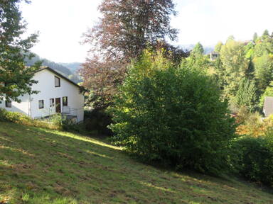Grundstück zum Kauf 49.000 € 797 m² Grundstück Alpirsbach Alpirsbach 72275