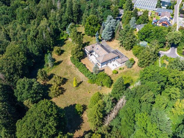 Villa zum Kauf 990.000 € 8 Zimmer 337 m² 14.628 m² Grundstück Stadtallendorf 35260