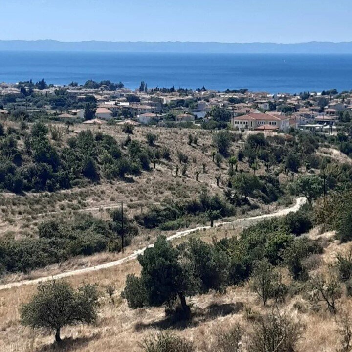 Land-/Forstwirtschaft zum Kauf 150.000 € 2.233 m²<br/>Grundstück Chalkidiki