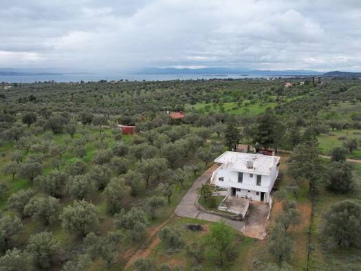 Haus zum Kauf 195.000 € 163 m² 5.850 m² Grundstück Eretria Municipality 34006