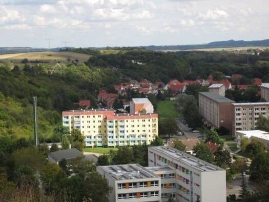 Wohnung zur Miete 250 € 1 Zimmer 29,2 m² 3. Geschoss frei ab sofort Weinbergsweg 9 Thale 06502