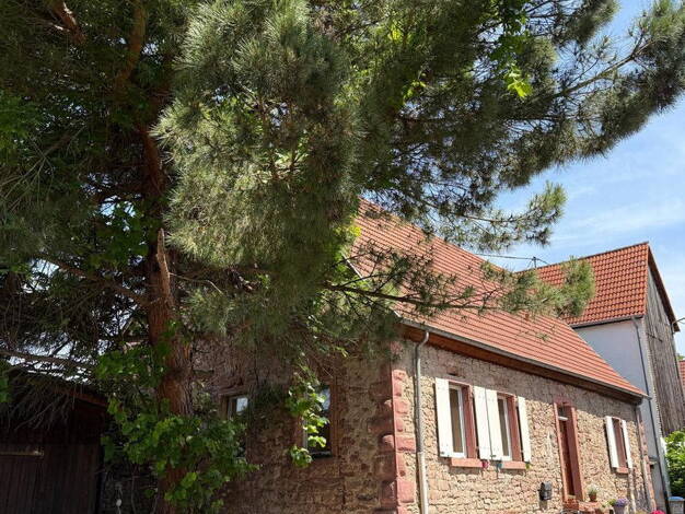 Bauernhaus zum Kauf provisionsfrei 490.000 € 6 Zimmer 205,4 m² 198 m² Grundstück Mannheim 68307