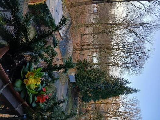 Wohnung zur Miete 650 € 3 Zimmer 78 m² frei ab 01.06.2026 Dutzendteich Nürnberg 90478