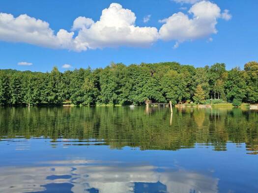 Mehrfamilienhaus zum Kauf 850.000 € 9 Zimmer 186 m² 80.000 m² Grundstück Scheiplitz Mertendorf 06618