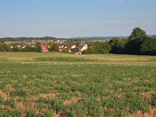 Land-/Forstwirtschaft zum Kauf 10.758 m² Grundstück Oettingen Oettingen i.Bay. 86732