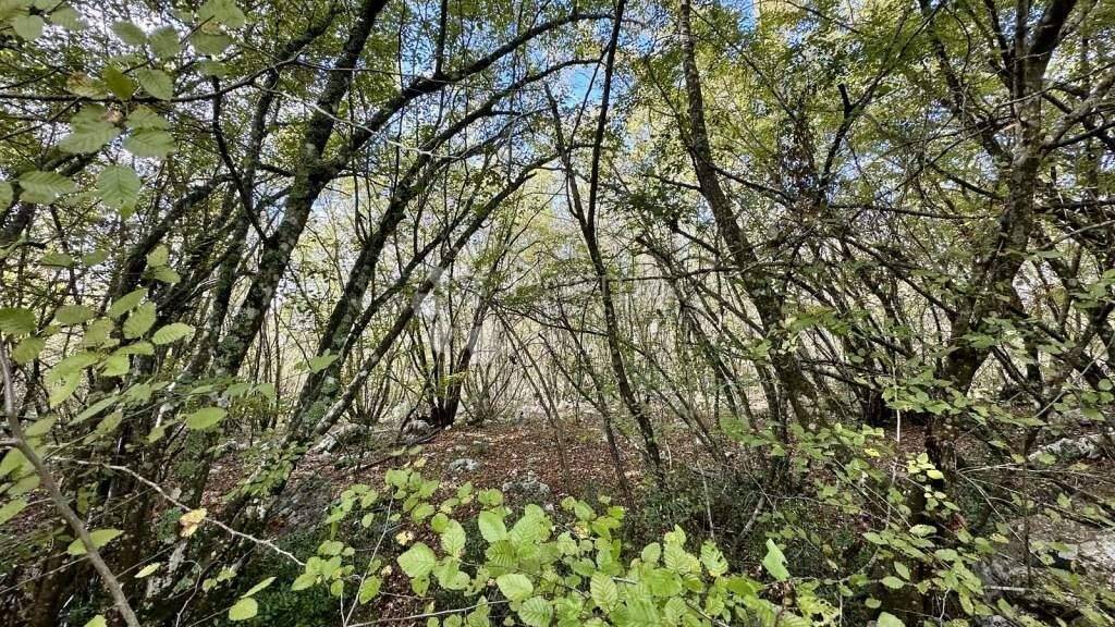 Land-/Forstwirtschaft zum Kauf 845.000 € Malinska-Dubasnica