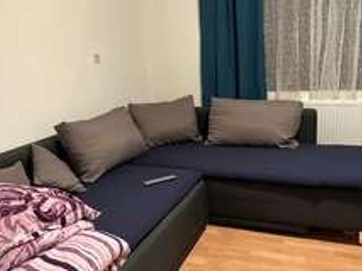 Studio zur Miete 720 € 1 Zimmer 42 m² Geschoss EG/1 frei ab sofort Friesdorf Bonn 53175