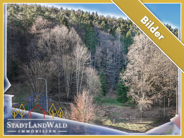 Grundstück zum Kauf 165.000 € 10.580 m² Grundstück Schafhof Elmstein 67471