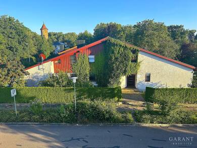 Einfamilienhaus zum Kauf 790.000 € 9 Zimmer 265 m² 1.520 m² Grundstück Lauingen Lauingen (Donau) 89415