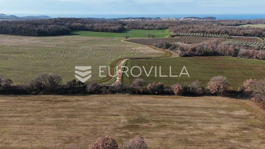 Land-/Forstwirtschaft zum Kauf 119.000 € Fuskulin Mugeba - Valkarin