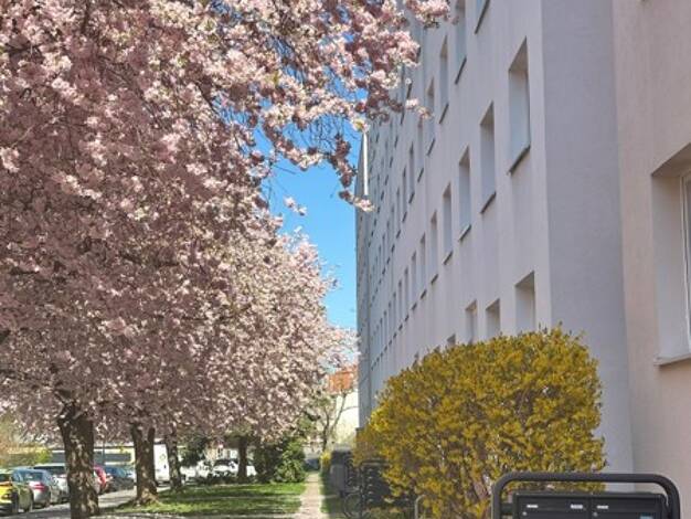 Wohnung zur Miete 485 € 2 Zimmer 48,7 m² frei ab 31.10.2026 Schlottwitzer Straße 14 Tolkewitz/Seidnitz-Nord Dresden 01277