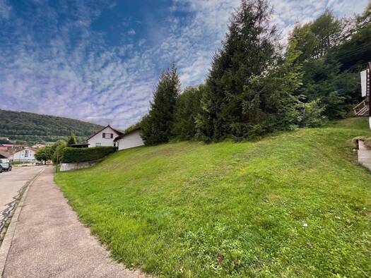 Grundstück zum Kauf 60.000 € 650 m² Grundstück Burladingen 72393