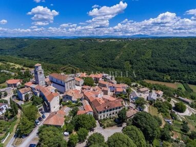 Land-/Forstwirtschaft zum Kauf 68 € Tinjan center