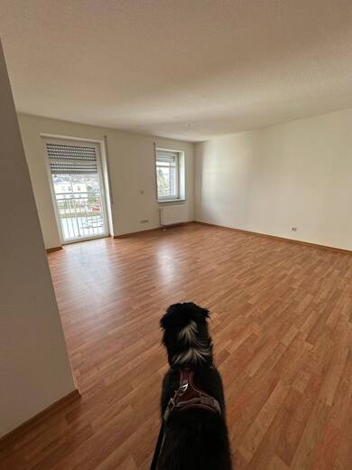 Wohnung zur Miete 286 € 1 Zimmer 44 m² 1. Geschoss Anna-Esche-Str. 4B Limbach-Oberfrohna Limbach-Oberfrohna 09212