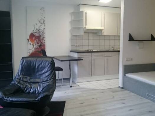 Wohnung zur Miete 270 € 1 Zimmer 27 m² Grettstadt Grettstadt 97508