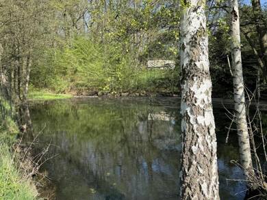 Freizeitgrundstück zum Kauf 30.000 € 1.980 m² Grundstück Hilbersdorf Bobritzsch-Hilbersdorf 09627