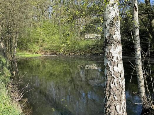 Freizeitgrundstück zum Kauf 30.000 € 1.980 m² Grundstück Hilbersdorf Bobritzsch-Hilbersdorf 09627
