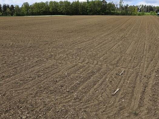 Land-/Forstwirtschaft zum Kauf 43.967 m² Grundstück Eichendorf 94428