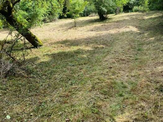 Freizeitgrundstück zum Kauf 99.000 € 1.800 m² Grundstück Panzerleite Bamberg 96049